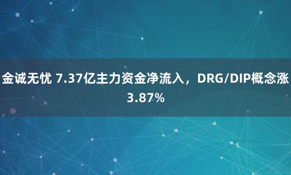 金诚无忧 7.37亿主力资金净流入，DRG/DIP概念涨3.87%